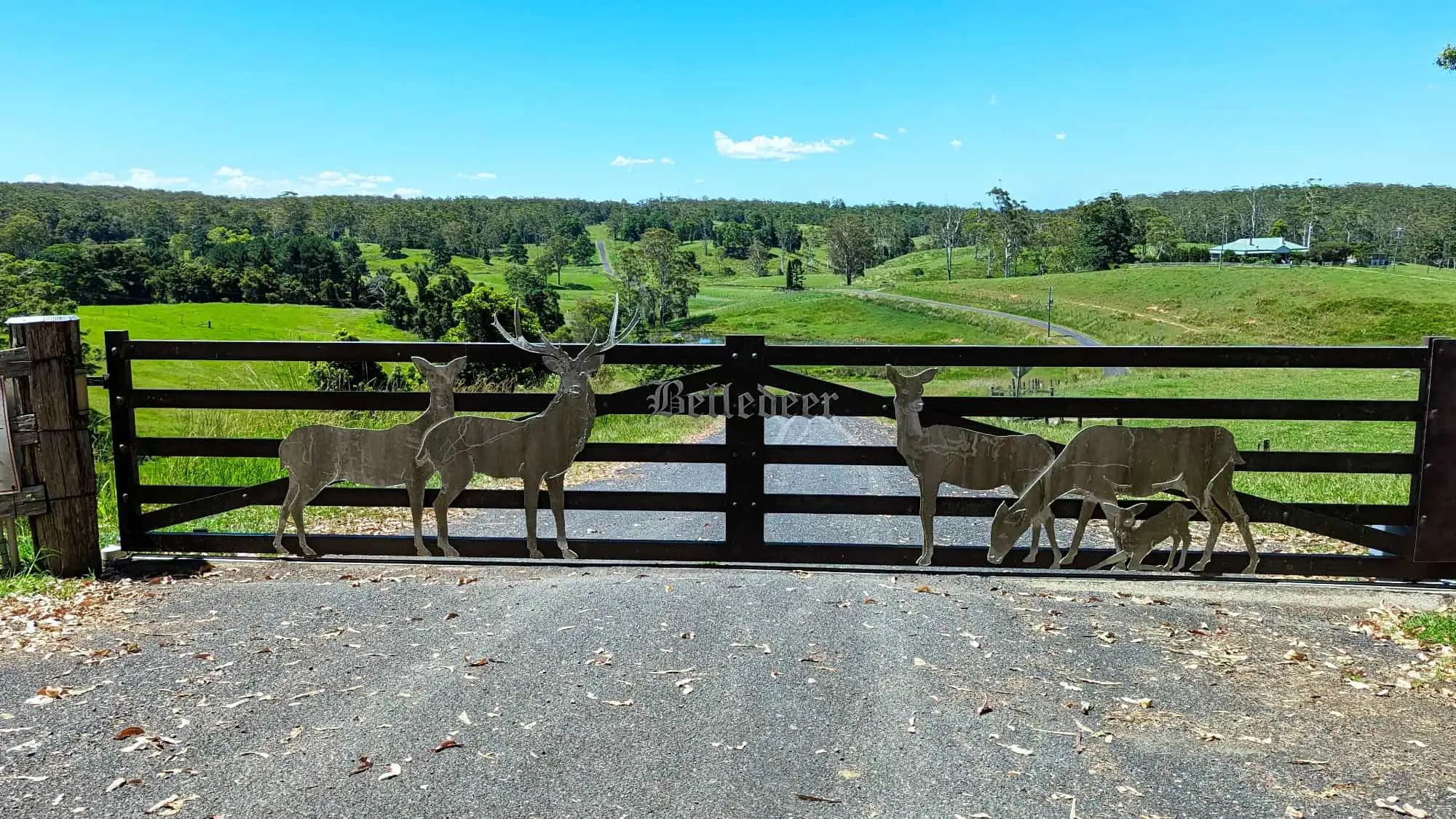 Belledeer Estate Sunshine Coast Rural Land Group