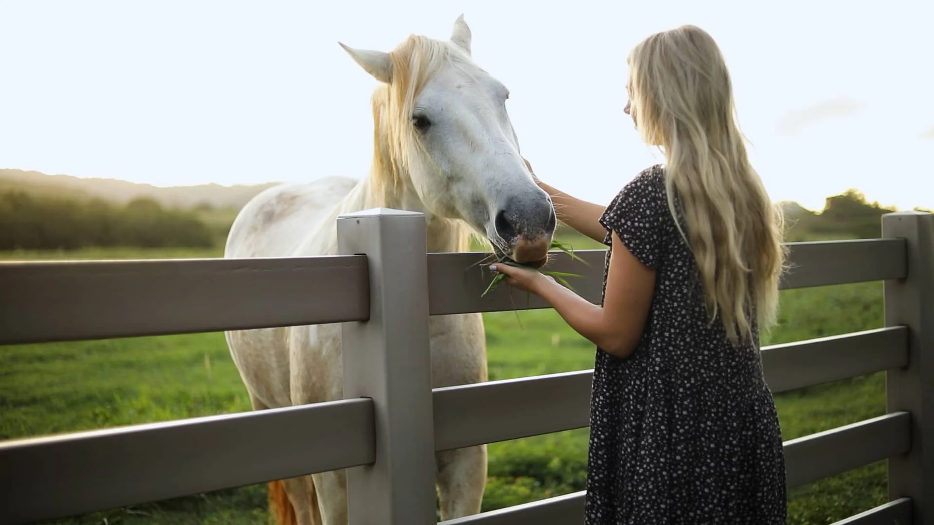Luna Rise Nanango | Rural Land Group